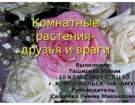Комнатные растения-друзья и враги