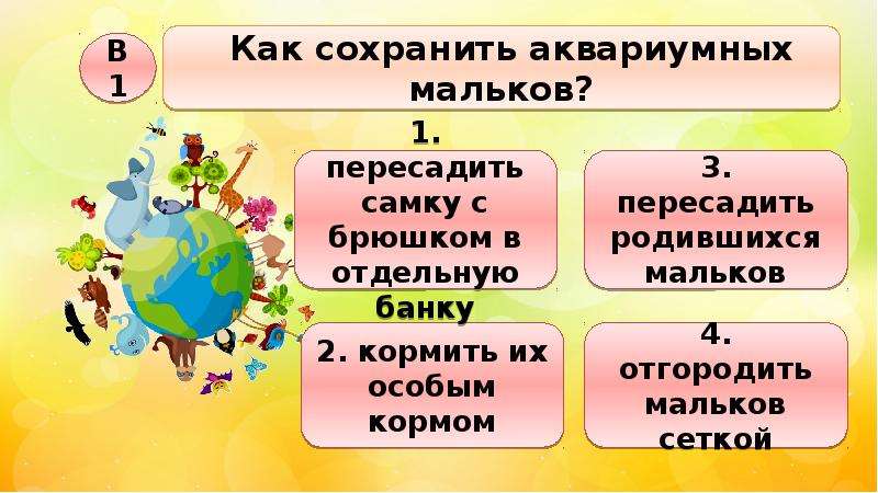 Животные живого уголка 2 класс. Животные живого уголка презентация окружающий мир 2 класс Плешаков. Животные живого уголка 2 класс презентация. Животные живого уголка 2 класс окружающий мир презентация. Как сохранить аквариумных мальков окружающий мир 2 класс ответы.