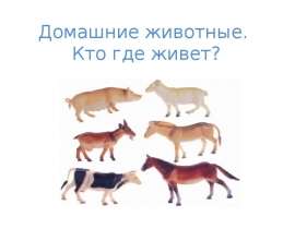 Домашние животные. Кто где живет?