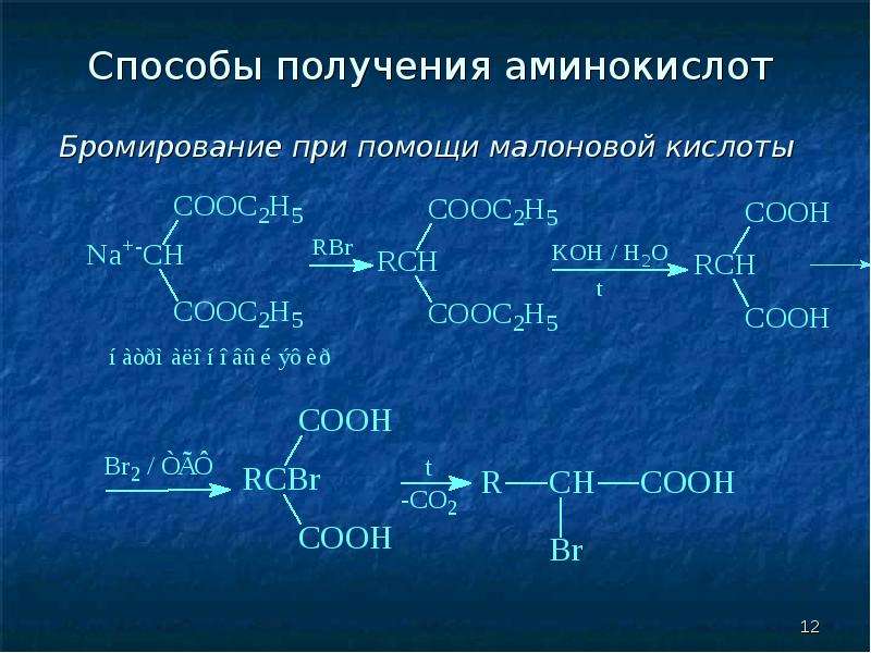 Тема аминокислоты белки. Способы получения аминокислот. Способы получения малоновой кислоты. Лабораторный способ получения аминокислот. Способы получения аминокислот химия.