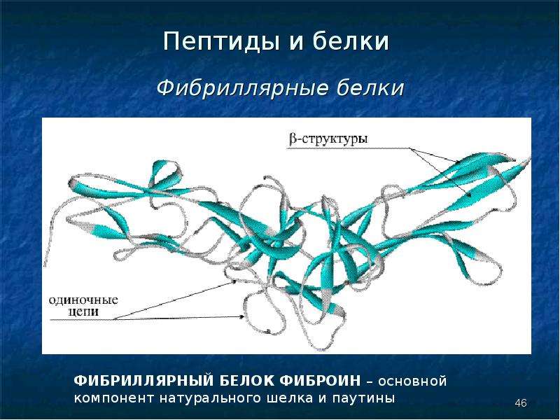 Белки и пептиды презентация