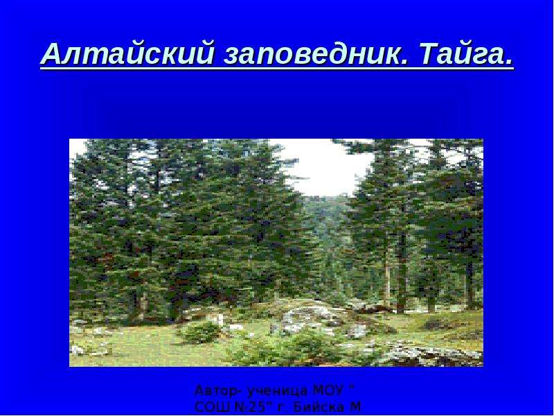 Заповедники тайги. Заповедники в зоне тайги. Заповедники тайги названия. Таежные заповедники России.