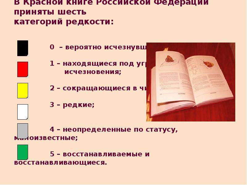 Красная книга презентация 4 класс окружающий мир