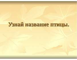 Узнай название птицы