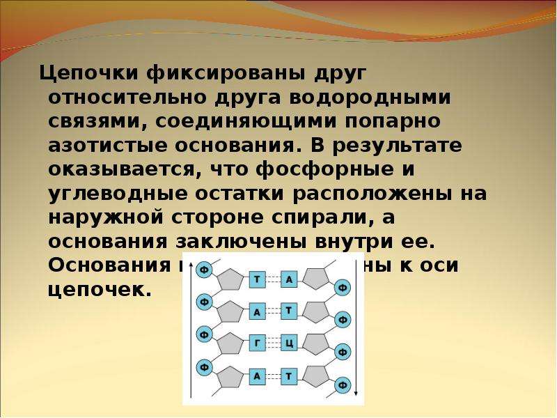 Какой связью соединены. Относительно друг друга. Что значит относительно друг друга. Фиксироваться относительно друг друга что значит. Относительны друг друга что значит.