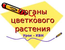 Органы цветкового растения