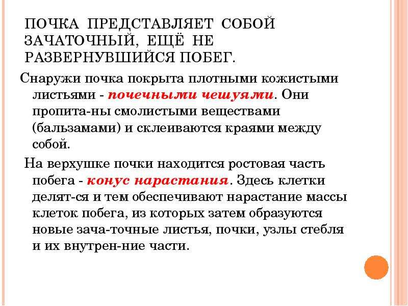 Почка представляет собой. Почка представляет собой зачаточный побег. Почка представляет собой зачаточный побег да или нет. Вывод почка представляет собой зачаточный побег. Почему почка является зачаточным побегом вывод.