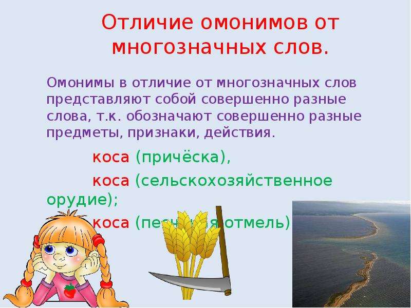 Картинки с омонимами