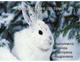 Зайчик