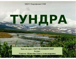 Тундра (4 класс)