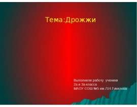 Дрожжи