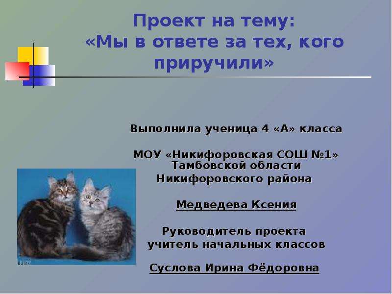 Ты в ответе за тех кого приручил проект