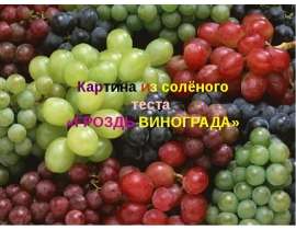 проект "Гроздь Винограда"