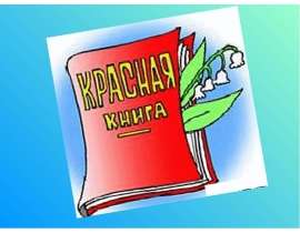 Красная книга. Кто она?