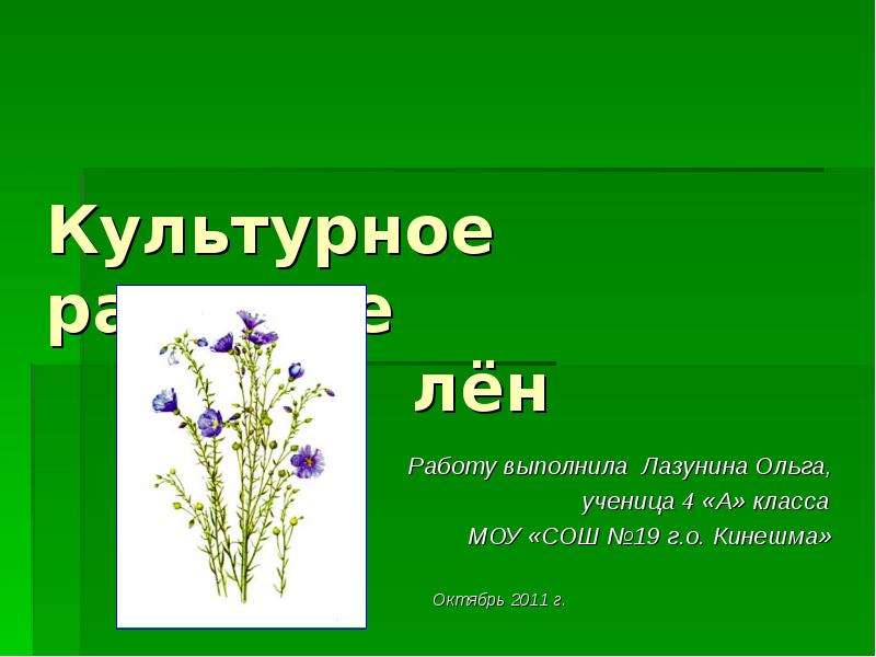 Лен описание. Лен культурное растение. Лен культурное растение или нет. Презентация лен. Сообщение о растении лён.