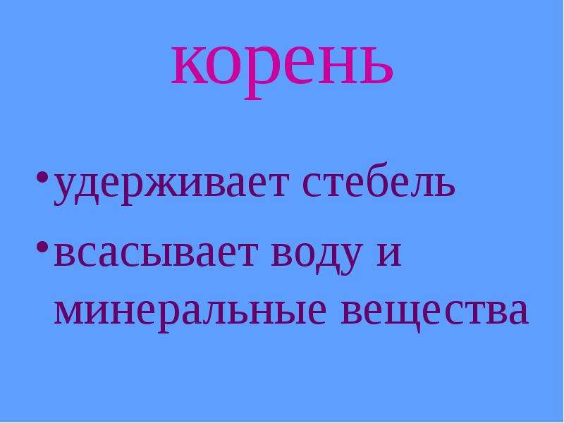 Растения производители