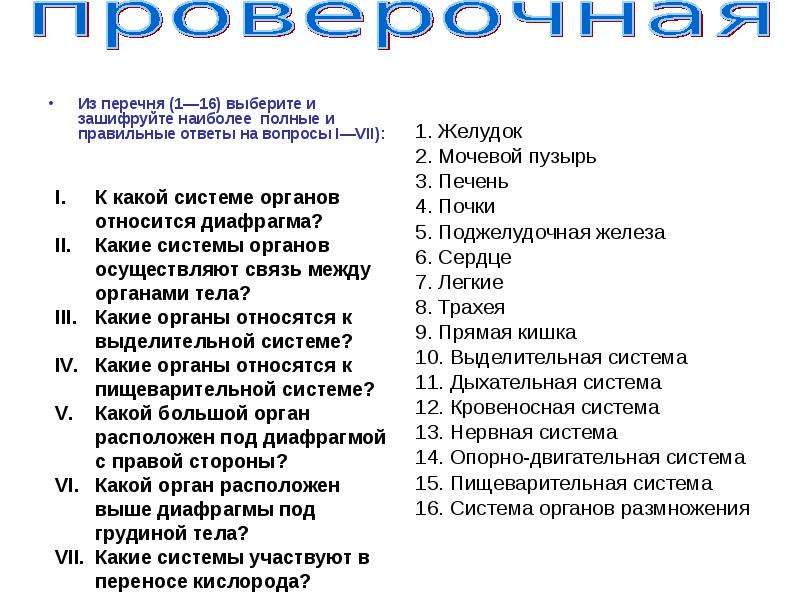 Органы список. Вопросы на тему организм человека. Вопросы на тему органы человека. Тесты по системам органов. Вопросы на тему человеческий организм.