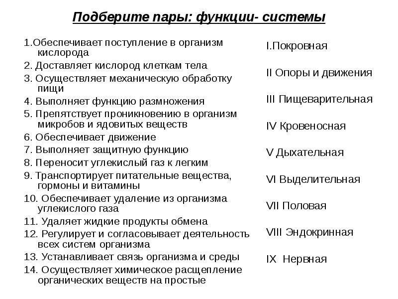 Функция пара. Установите последовательность поступления кислорода в клетки тела. Общий обзор организма задание. Функции размножения. Тест общий обзор организма человека 8.