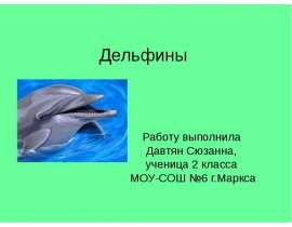 Дельфины 2 класс