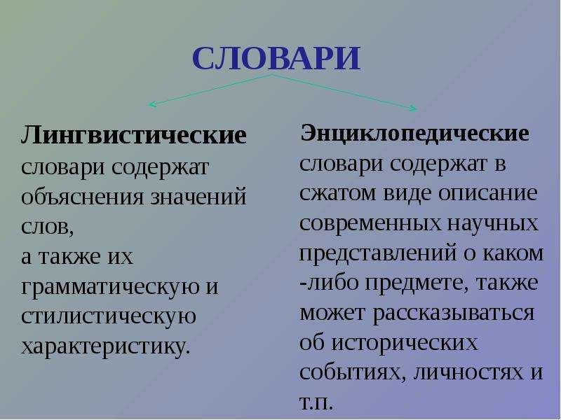 Языковой значение слова. Лингвистическое значение слова. Значения терминов лингвистика