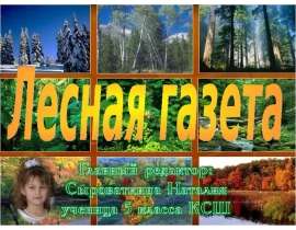 Лесная газета