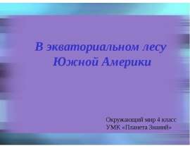 В экваториальном лесу Южной Америки