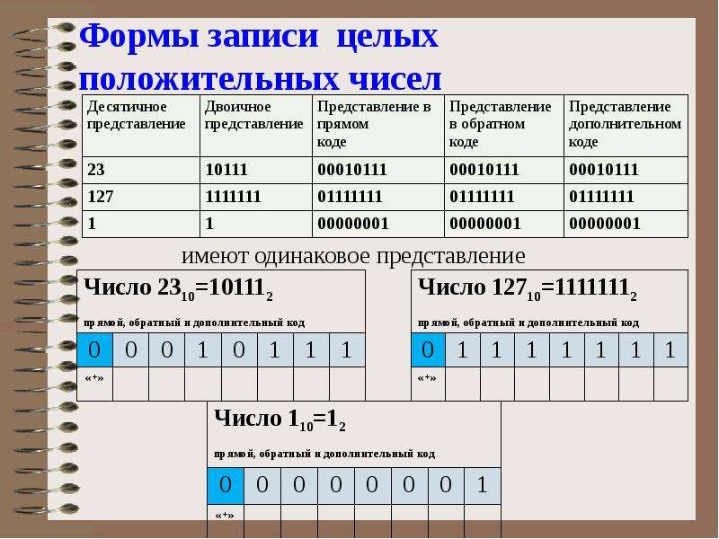 10 класс представление чисел в компьютере презентация