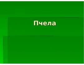 Пчела (1 класс)