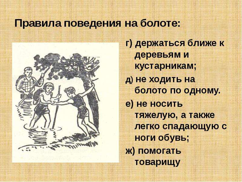 Не попади в болото. Правила поведения на болотах. Правило поведения на болоте. Правила безопасности на болоте. Памятка правила поведения на болоте.