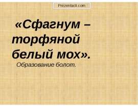 Сфагнум - торфяной белый мох