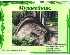 Муравейник