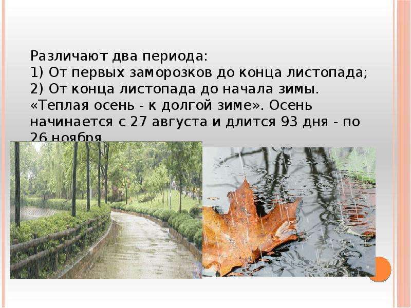 В каком месяце закончился листопад. Конец листопада у деревьев. Конец листопада у лип. Окончание листопада у липы. Начало и конец листопада у разных деревьев.