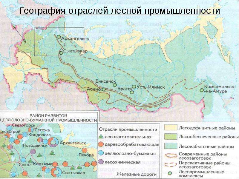 Выделите город в котором находится лесопромышленный комплекс. Карта Лесной промышленности России. География Лесной промышленности России. Предприятия Лесной промышленности география. География размещения Лесной промышленности.