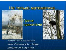 Грачи прилетели