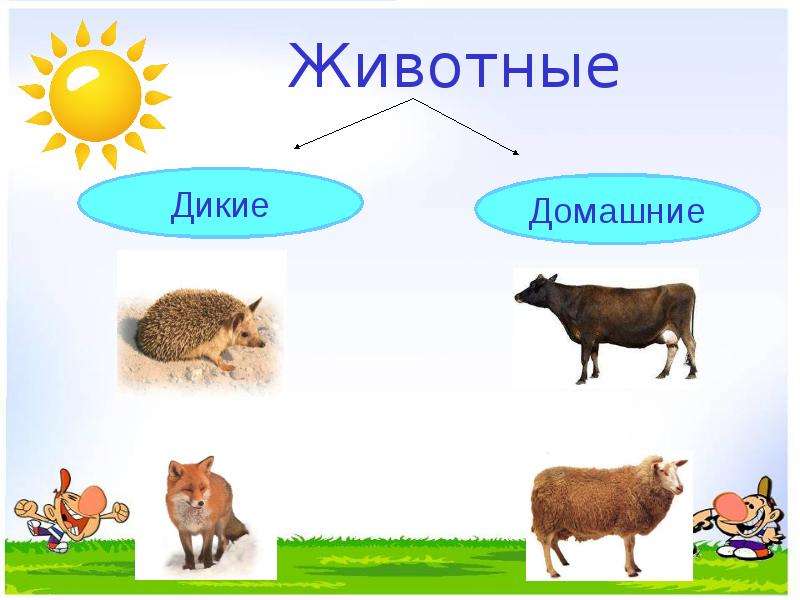 Животные 2 класс презентация