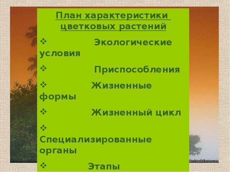 Каков план. План характеристики растений. Презентация на тему классификация цветковых растений. Каков план характеристики растения. Характеристика растения по плану.