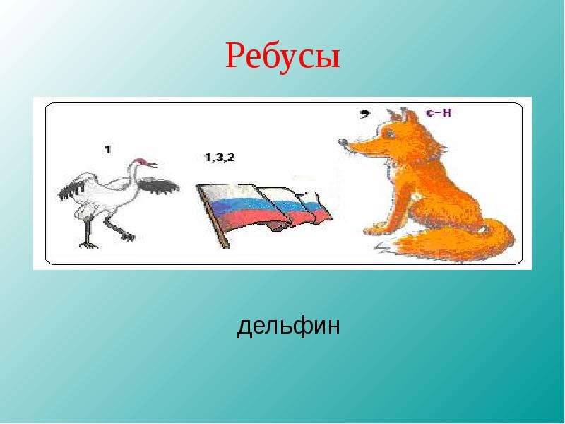 Ребусы о животных презентация