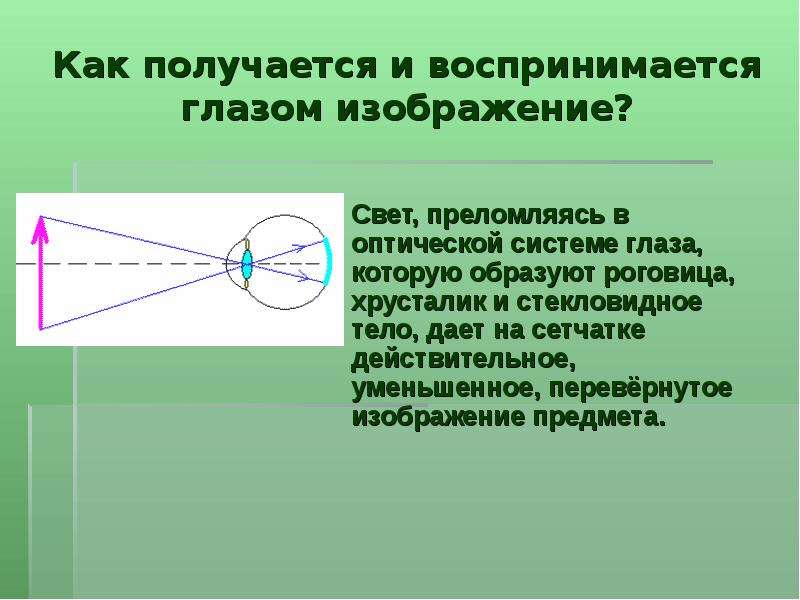 Как воспринимается изображение глазом