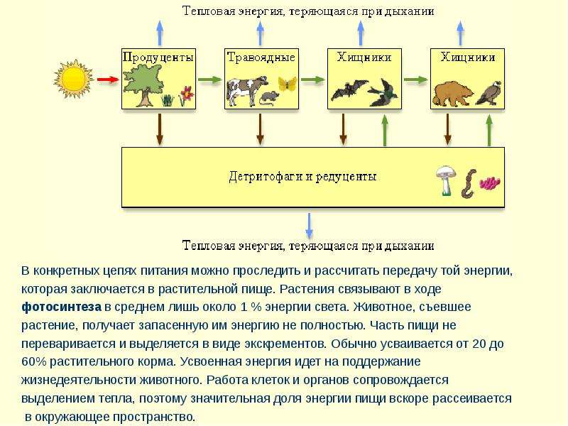 По цепям питания передается