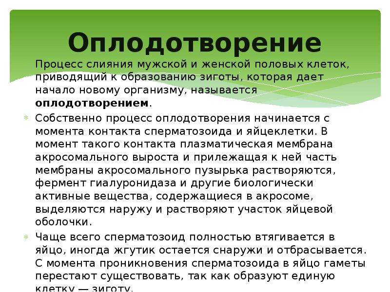 Оплодотворение это процесс. Процесс слияния мужской и женской клеток. Оплодотворение процесс слияния. Оплодотворением называется процесс. Слияние женской и мужской половых клеток называется.