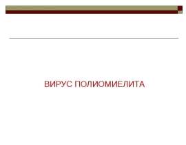 Вирус полиомиелита