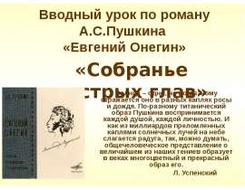 Вводный урок по роману А.С.Пушкина «Евгений Онегин» «Собранье пестрых глав»