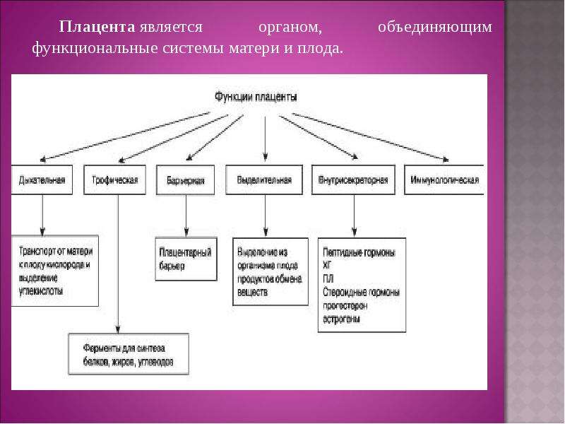 Органы объединения. Функции плаценты. Система мать-плацента-плод. Плацента гормоны и функции. Функциональная система мать плод.