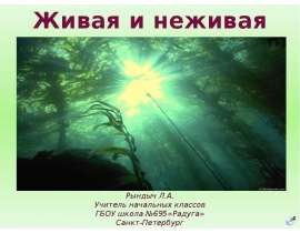 Живая и неживая природа (2 класс)