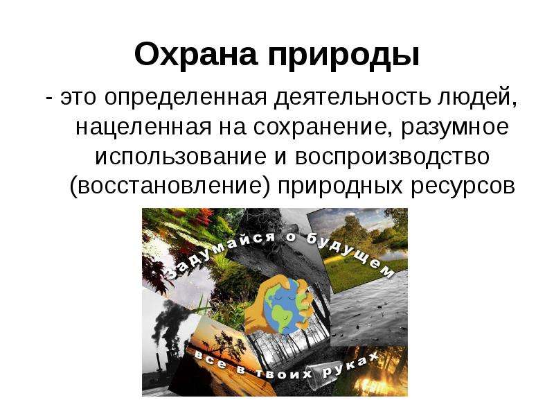 Закон на страже природы презентация 7 класс обществознание конспект