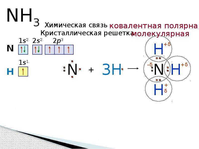 Схема строения аммиака