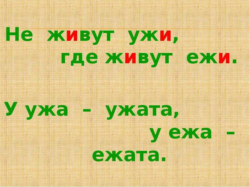 У ежа ежата у ужа ужата рисунок