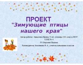 Зимующие птицы нашего края