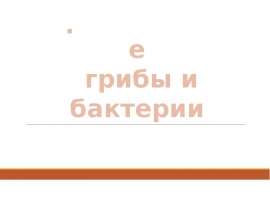 Паразитические грибы и бактерии