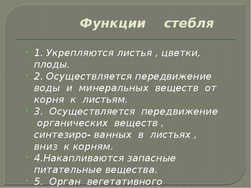 Стебель функции. Функции стебля. Функции стебля 6 класс. 3 Функции стебля. Цветоножка функция 6 класс.